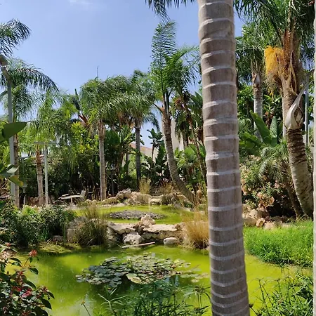 Garden Luxury Agia Napa
